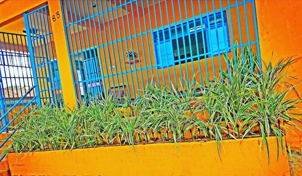Ype * Rio Verde